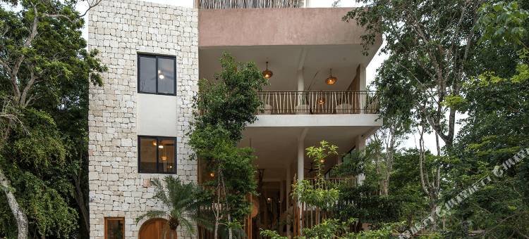 科斯酒店精品图兰(Koos Tulum Hotel)图片