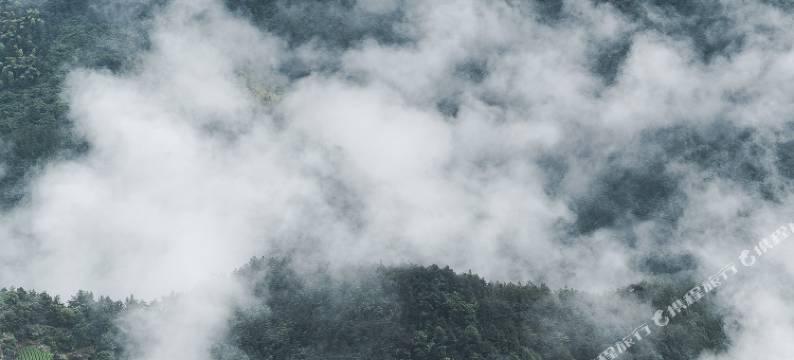山抹微云民宿(松阳陈家铺店)图片