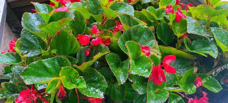 盐城新军旅社图片