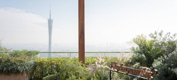 广州柏悦酒店图片