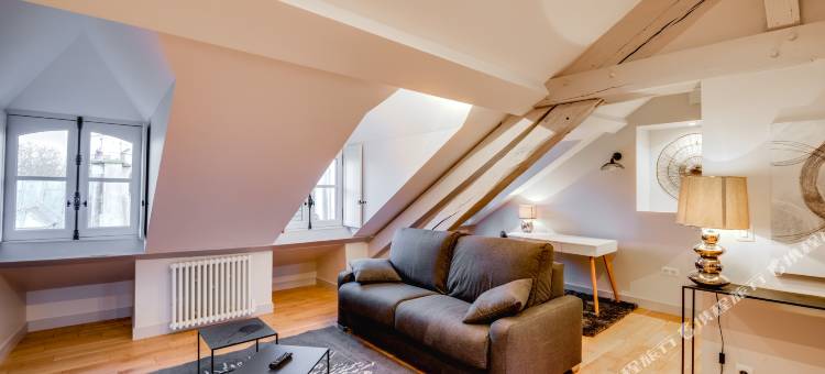 昂克勒路易斯公寓酒店(Apparts de l'Oncle Louis)图片