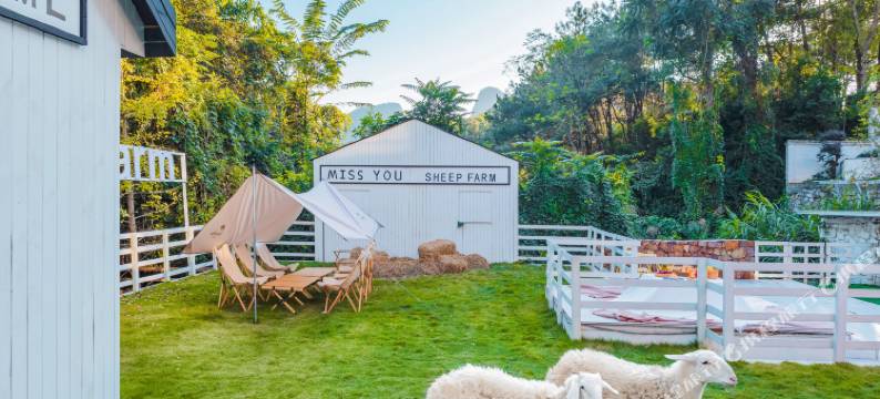 阳朔疏林听雨·网红牧场酒店(漓江店)图片