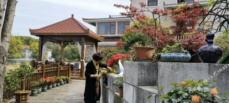 望湖壹号民宿图片
