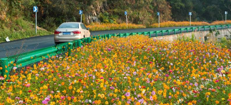 岳西车友农家乐图片