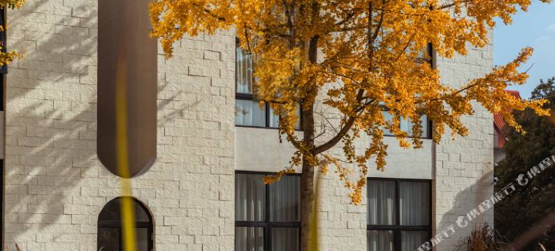 山野墨语屋顶花园美宿(莫干山国际旅游度假区庾村景区店)图片