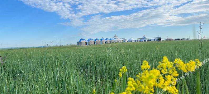西乌珠穆沁旗特日贡民宿图片