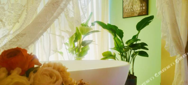 梵妮兰智能轻奢商旅民宿图片