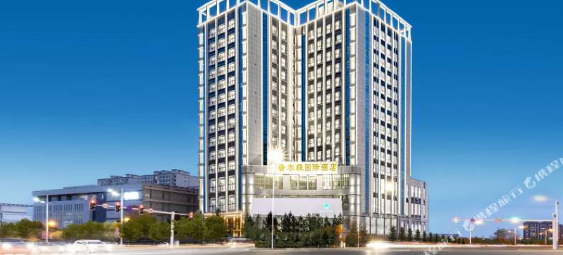 普尔森国际酒店(高铁站万达店)图片