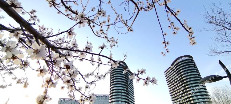 云水和居·日出海落海景度假艺宿(龙湾海滨店)图片