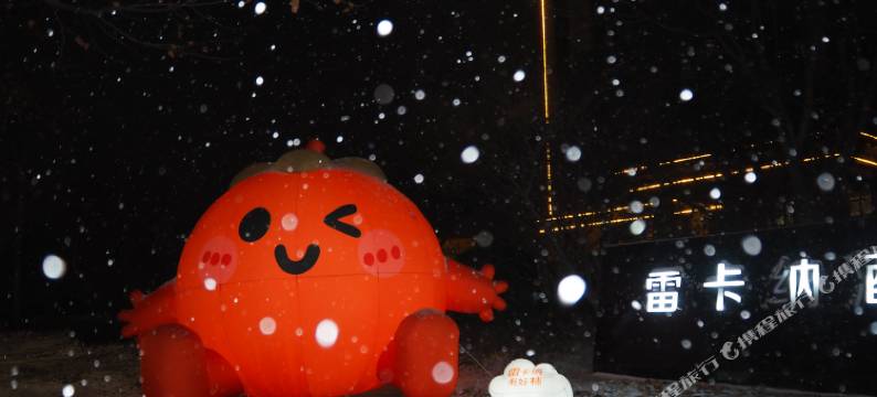 淮安雷卡纳酒店图片