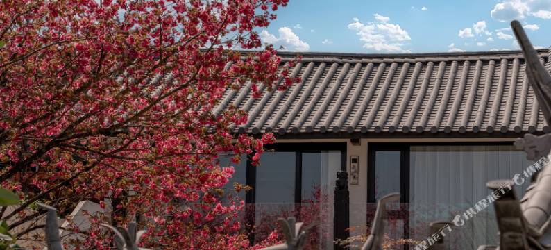 藏弥·慕也·设计师度假庄园(丽江古城区店)图片