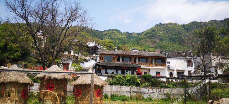 宏村塔川五柳斋图片