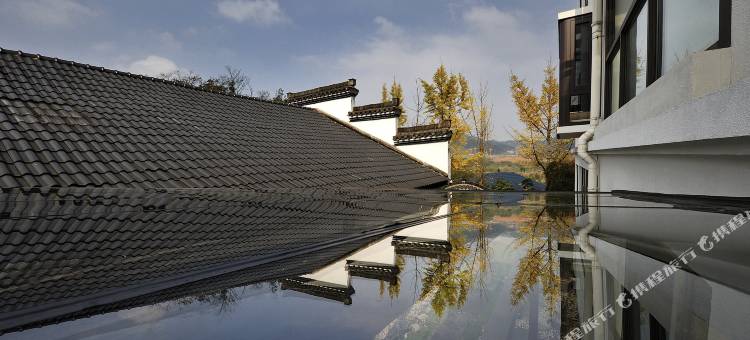 开化金凤凰梧桐苑民宿图片