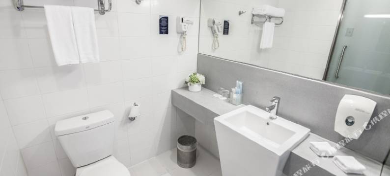 北京民族园葉子里酒店(鸟巢店)图片