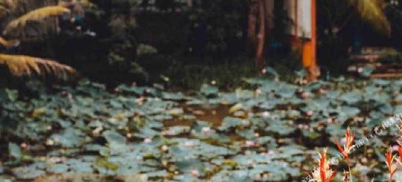 运河304号公寓(The Canal 304 Hotel & Residence)图片