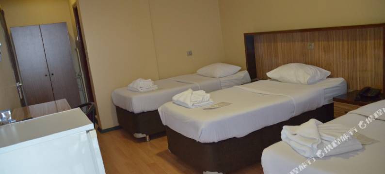 奥德里斯海滩酒店及度假村(Odrys Beach Hotel & Resort)图片