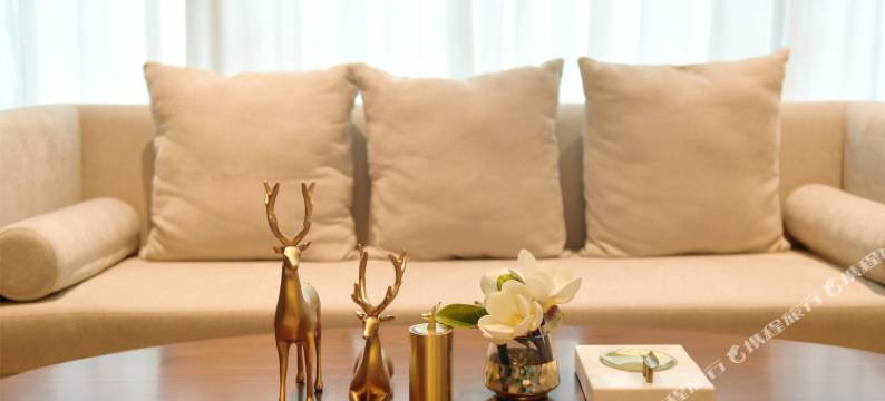 南京芯城骊景酒店(砂之船江北新区奥莱店)图片