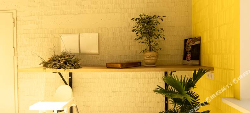 柠檬水酒店(Lemonade Hotel)图片