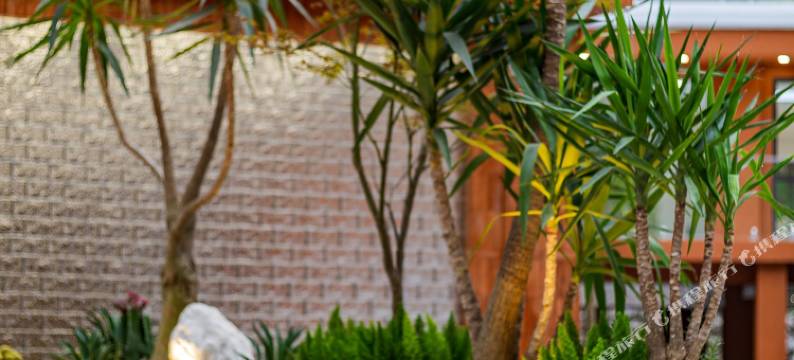 汀风橙色院子民宿(青城后山泰安古镇店)图片