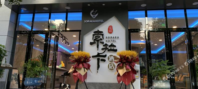 索拉卡酒店图片