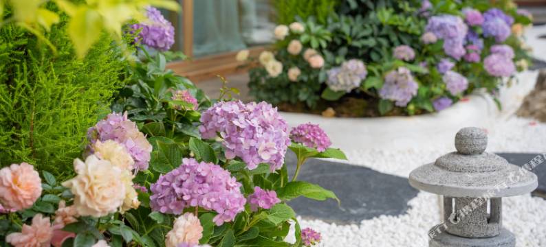 海棠花园 F.S.Garden 轻奢假日酒店(丽江古城店)图片