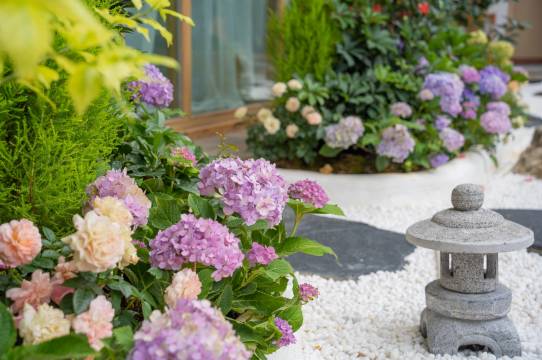 海棠花园 F.S.Garden 轻奢假日酒店(丽江古城店)图片