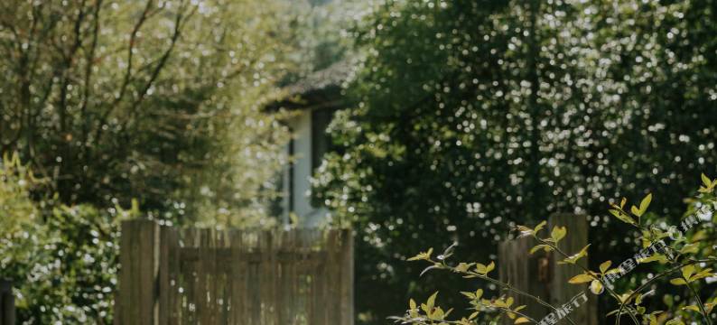 莫干山西璞民宿图片