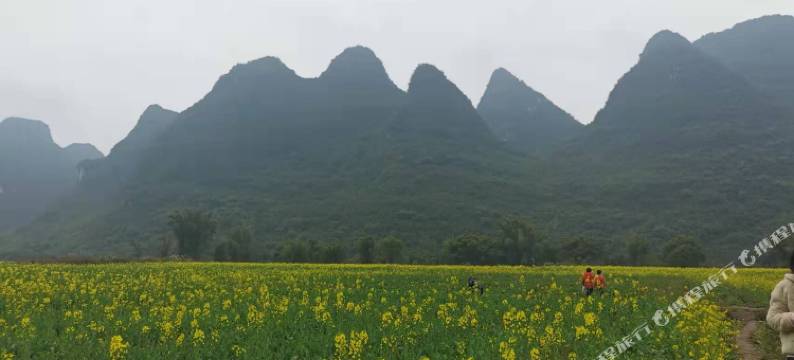 阳朔龙腾酒店(宋城千古情交通运输局店)图片