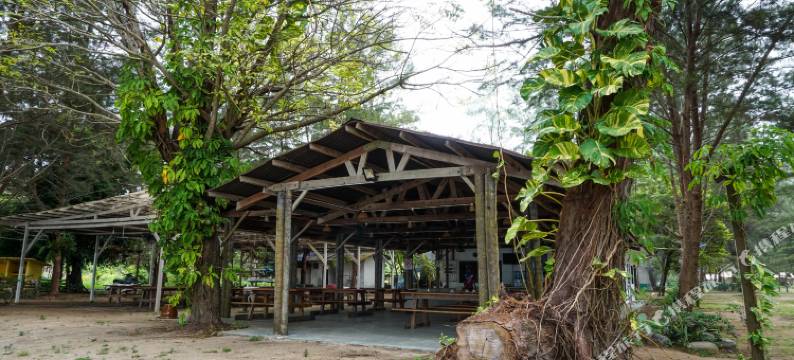 迪纳湾岛阿拉度假村(Ara Dinawan Island Resort)图片