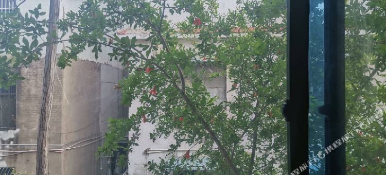 赵财猫·民宿(开封清明上河园中国翰园碑林店)图片