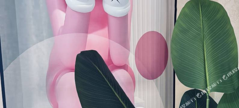 沈阳丽娜主题公寓图片