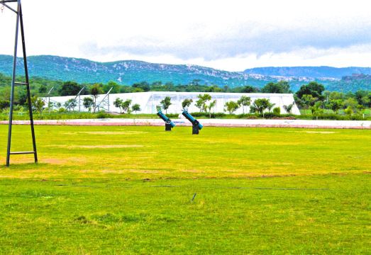 Astroport Sariska Treetop by Eight Continents Hotel Overview