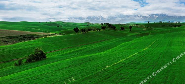 格林豪泰酒店(奇台米东路店)图片