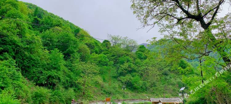归园田居民宿图片