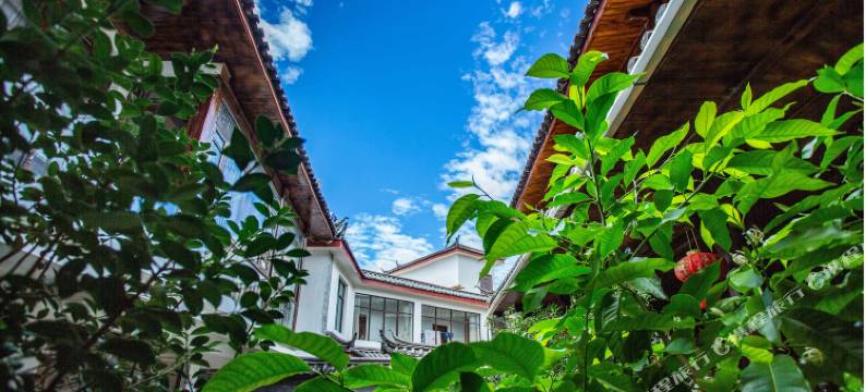 丽江松云·云益堂客栈图片