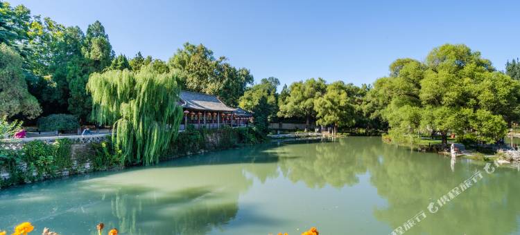 海岱青舍影音民宿图片