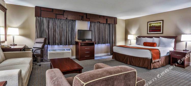 托斯卡纳套房和 酒店(Tuscany Suites & Casino)图片