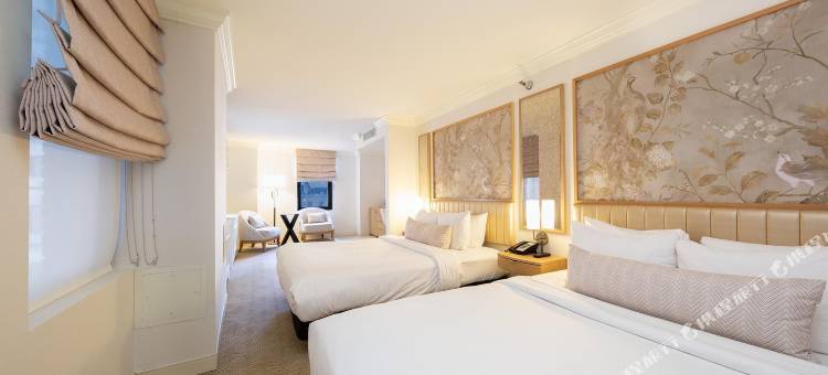 芝加哥沃里克阿勒顿酒店(Warwick Allerton Chicago)图片