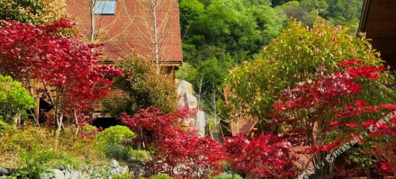 华美达温泉度假酒店(古尔沟旅游度假区店)图片