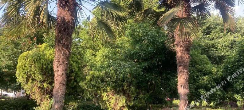 会泽希岸精品酒店图片