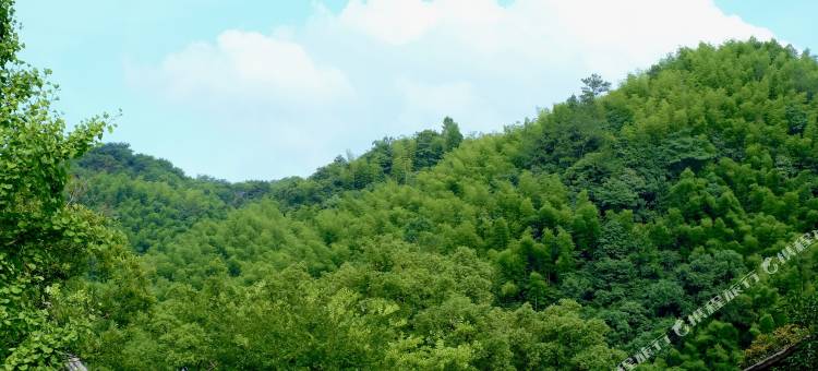 宁波沄野和光·栖霞坑民宿图片