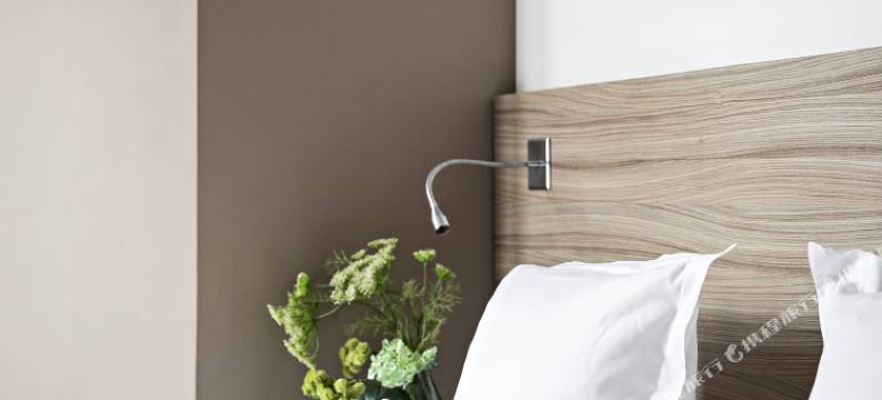 巴黎凡尔赛门贝斯特韦斯特酒店(Best Western Paris Porte de Versailles)图片