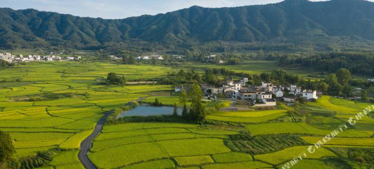 黄山澍德堂•黟县交叉小径的花园图片