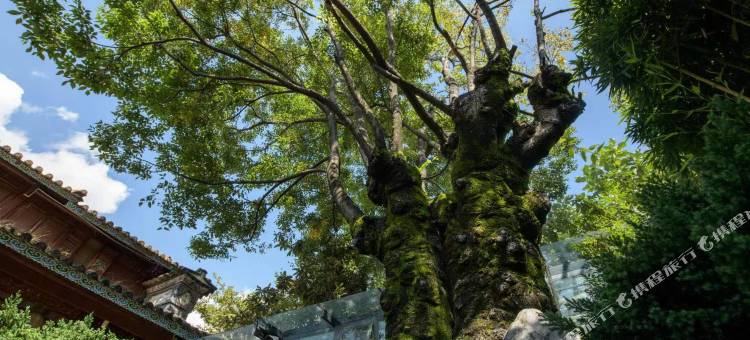 鹤庆出山小住民宿图片