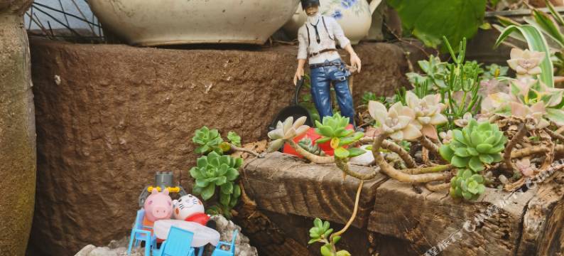 龙溪酒店(巍山古城店)图片