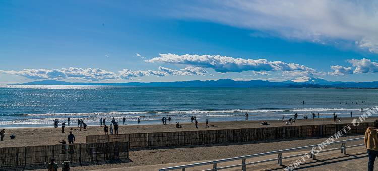 Diary of the sea图片