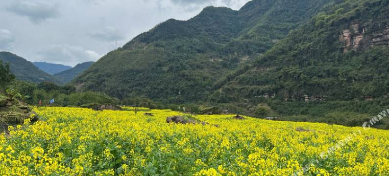 赤水张家湾汽车露营地图片
