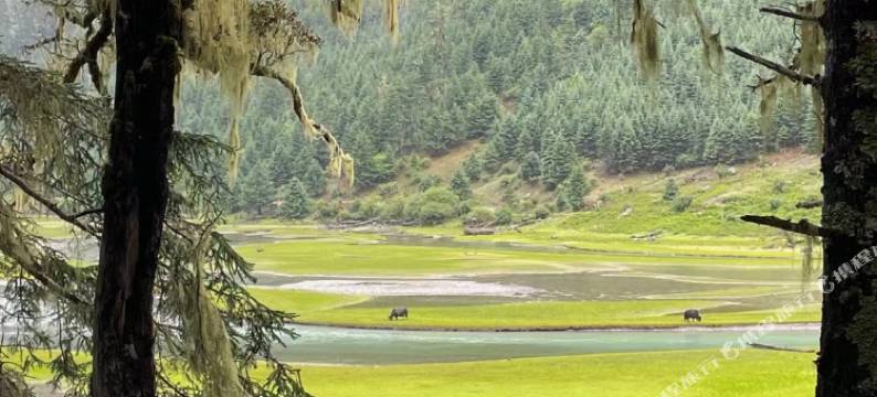 林韵山居民宿图片