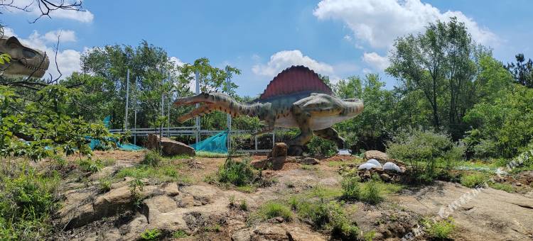 万紫千红度假酒店图片