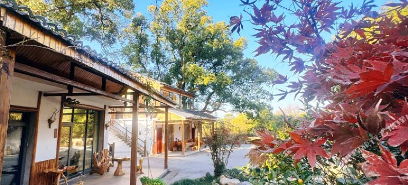 庐山观山宿图片